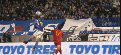 鹈鹕的表现 鹈鹕的表现