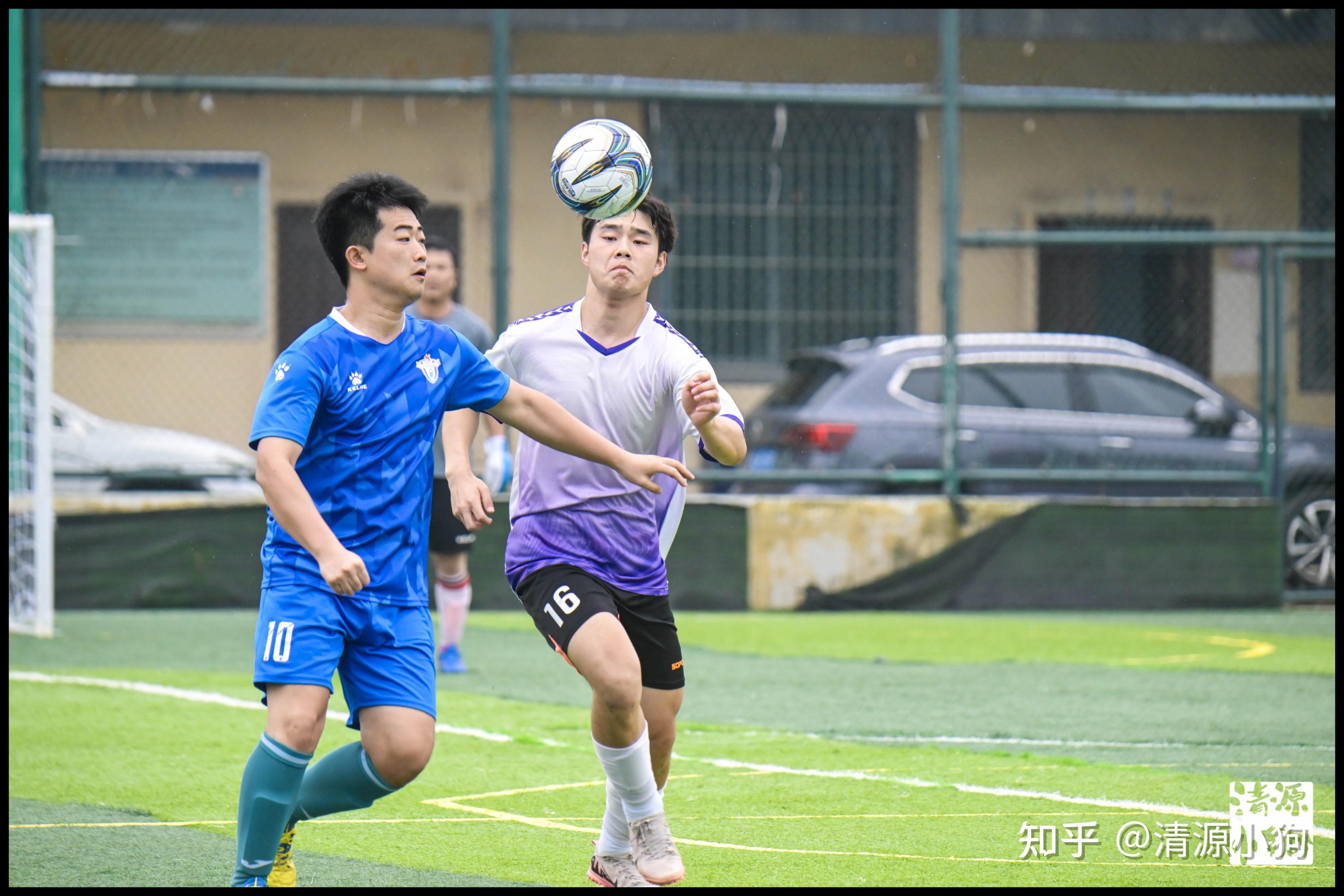 众的攻击型 众的攻击型